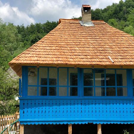 Вілла Casa Albastra Беїле-Оленешті Екстер'єр фото
