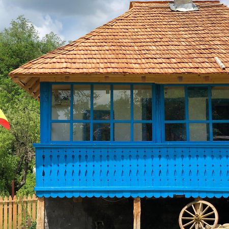 Вілла Casa Albastra Беїле-Оленешті Екстер'єр фото