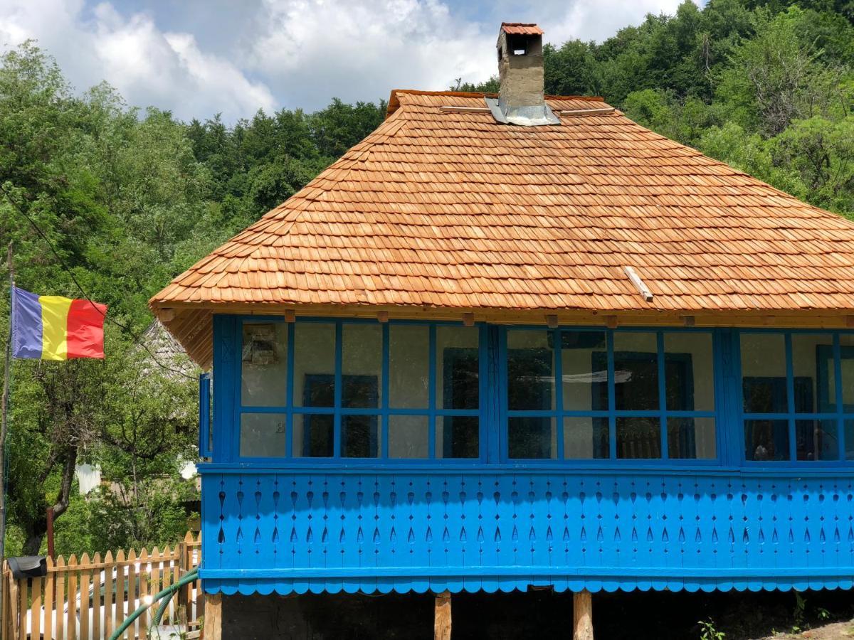 Вілла Casa Albastra Беїле-Оленешті Екстер'єр фото
