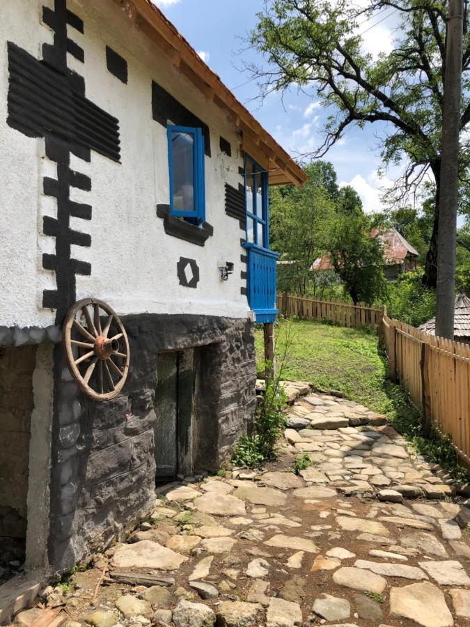 Вілла Casa Albastra Беїле-Оленешті Екстер'єр фото