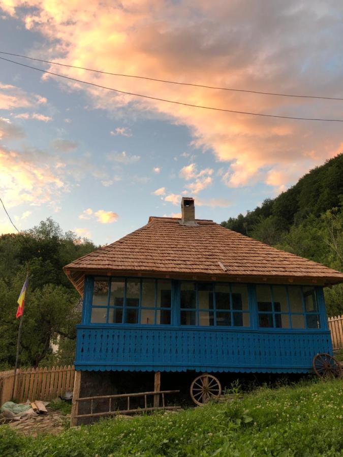 Вілла Casa Albastra Беїле-Оленешті Екстер'єр фото