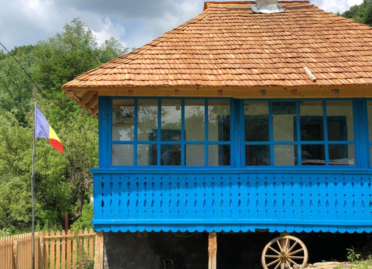 Вілла Casa Albastra Беїле-Оленешті Екстер'єр фото