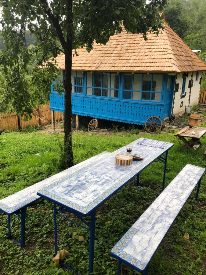 Вілла Casa Albastra Беїле-Оленешті Екстер'єр фото